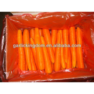Новая культура Свежая морковь в картонной упаковке 10 кг